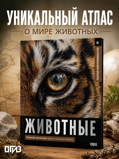 Дмитрий Медведев: Животные. Иллюстрированный атлас