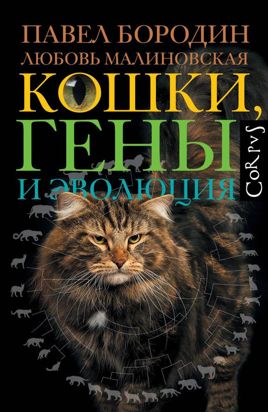 Любовь Малиновская: Кошки, гены и эволюция