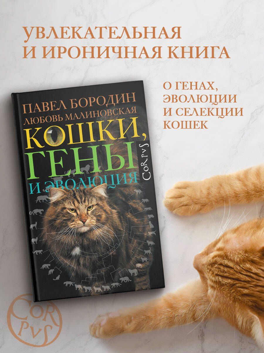 Любовь Малиновская: Кошки, гены и эволюция