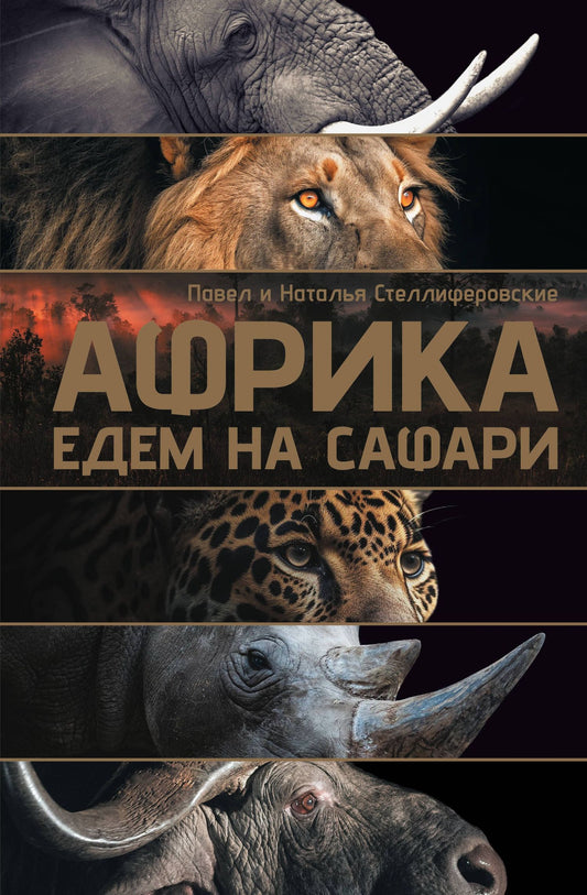 Наталья Стеллиферовская: Африка. Едем на сафари