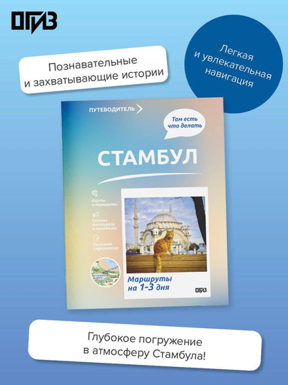 Зинаида Бичанина: Стамбул. Что там делать. Маршруты на 3 дня