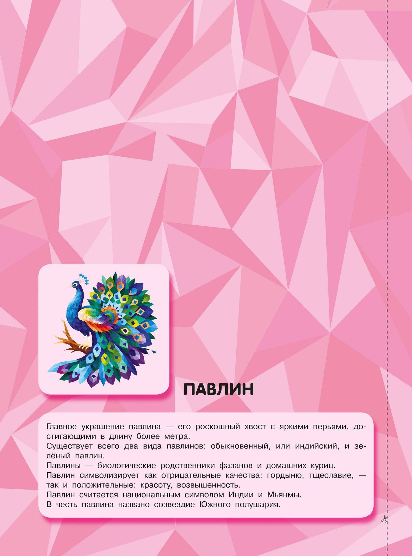 Птицы