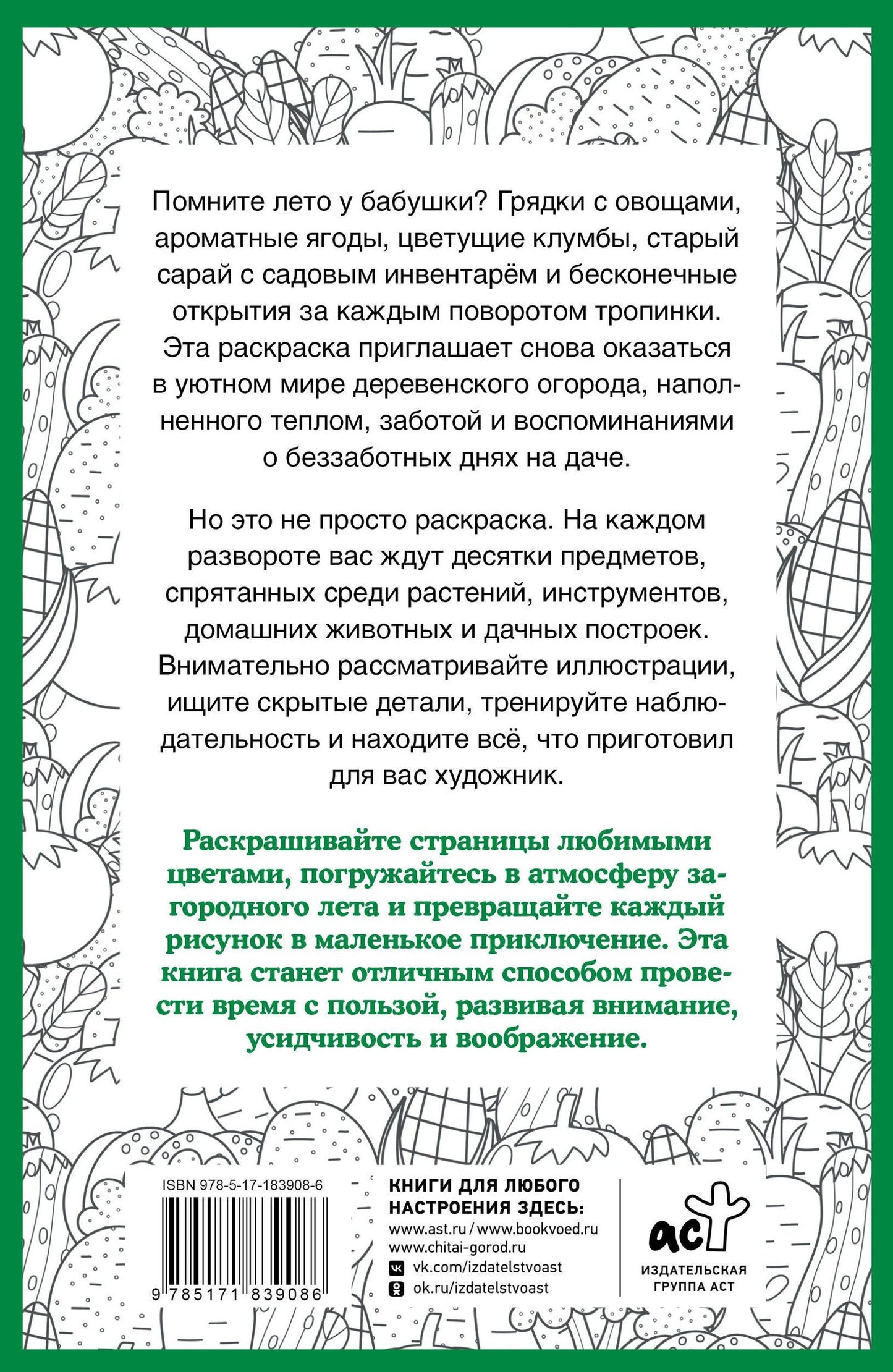Светлана Холмс: Бабулин огород. Раскраска на поиск предметов