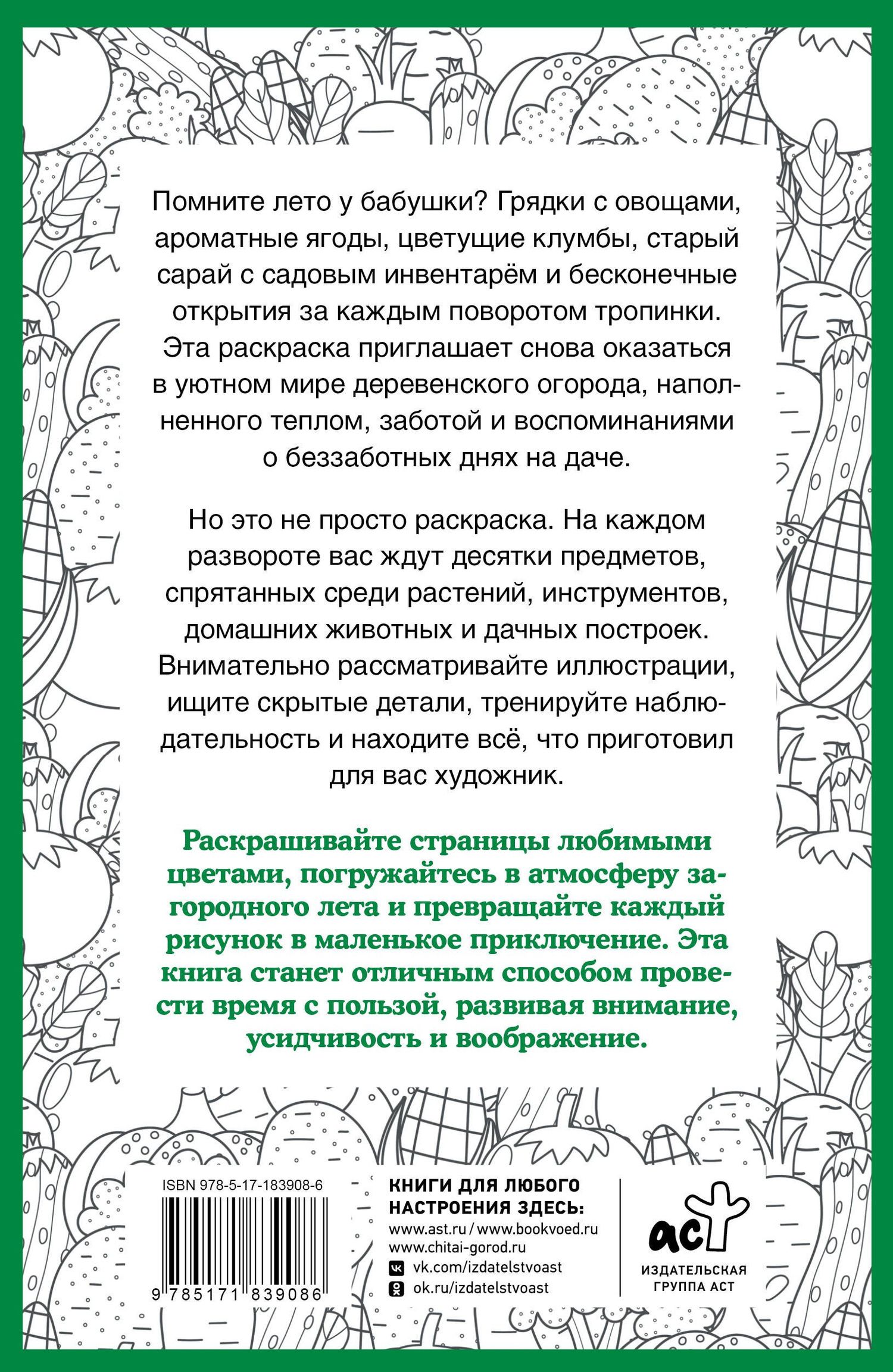 Светлана Холмс: Бабулин огород. Раскраска на поиск предметов