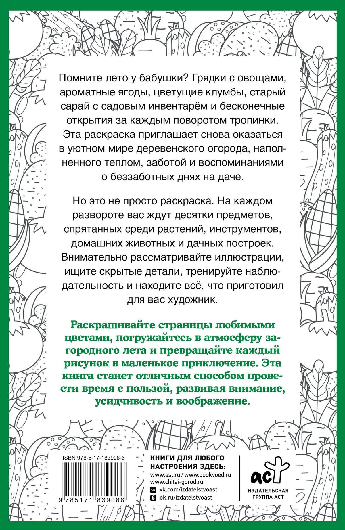 Светлана Холмс: Бабулин огород. Раскраска на поиск предметов