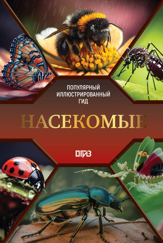 Анна Спектор: Насекомые. Иллюстрированный гид