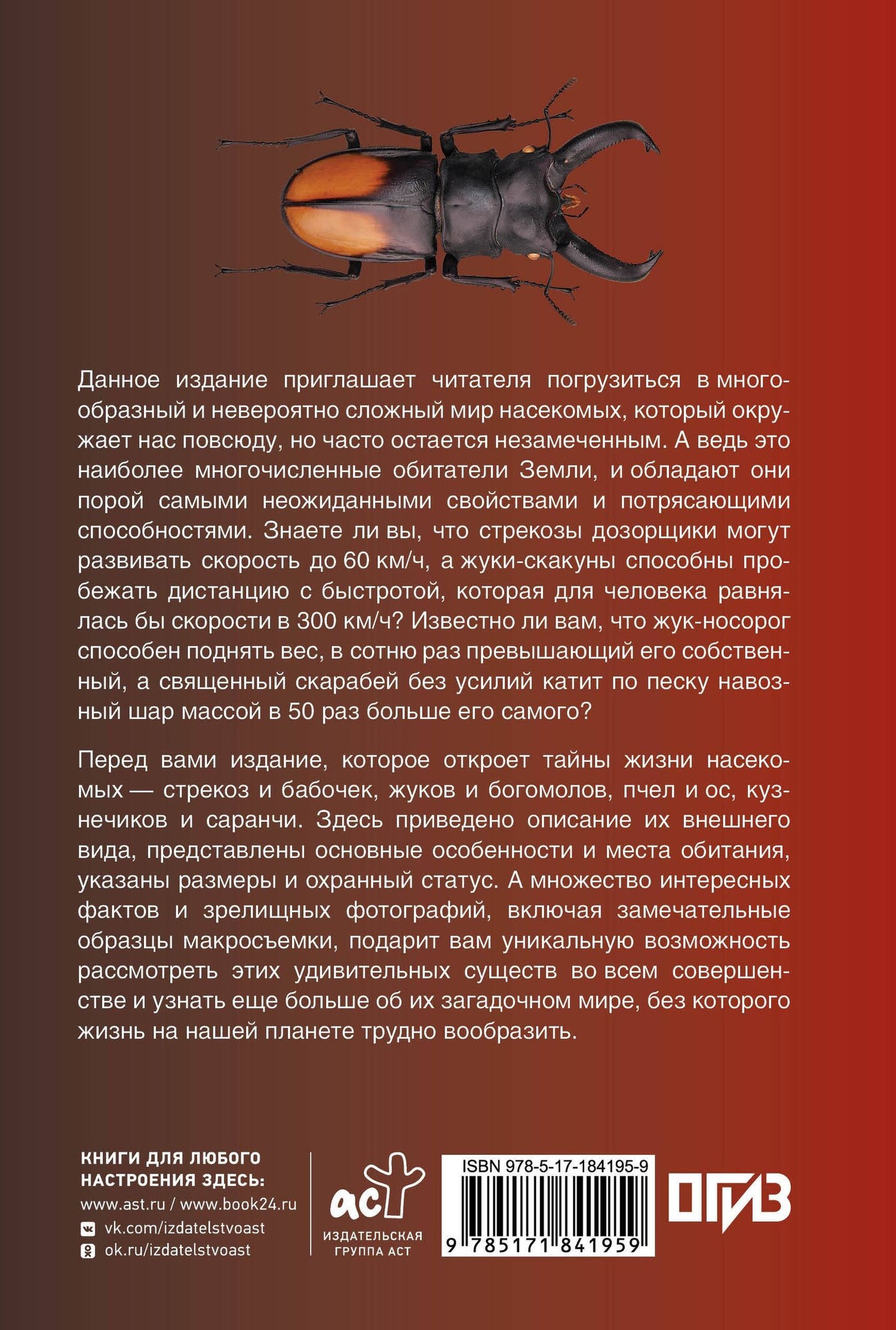 Анна Спектор: Насекомые. Иллюстрированный гид