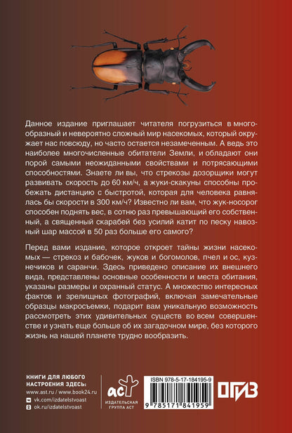 Анна Спектор: Насекомые. Иллюстрированный гид