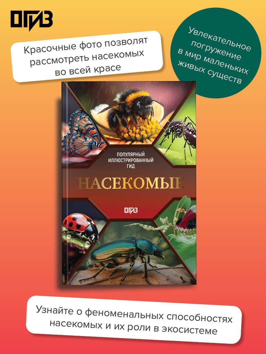 Анна Спектор: Насекомые. Иллюстрированный гид