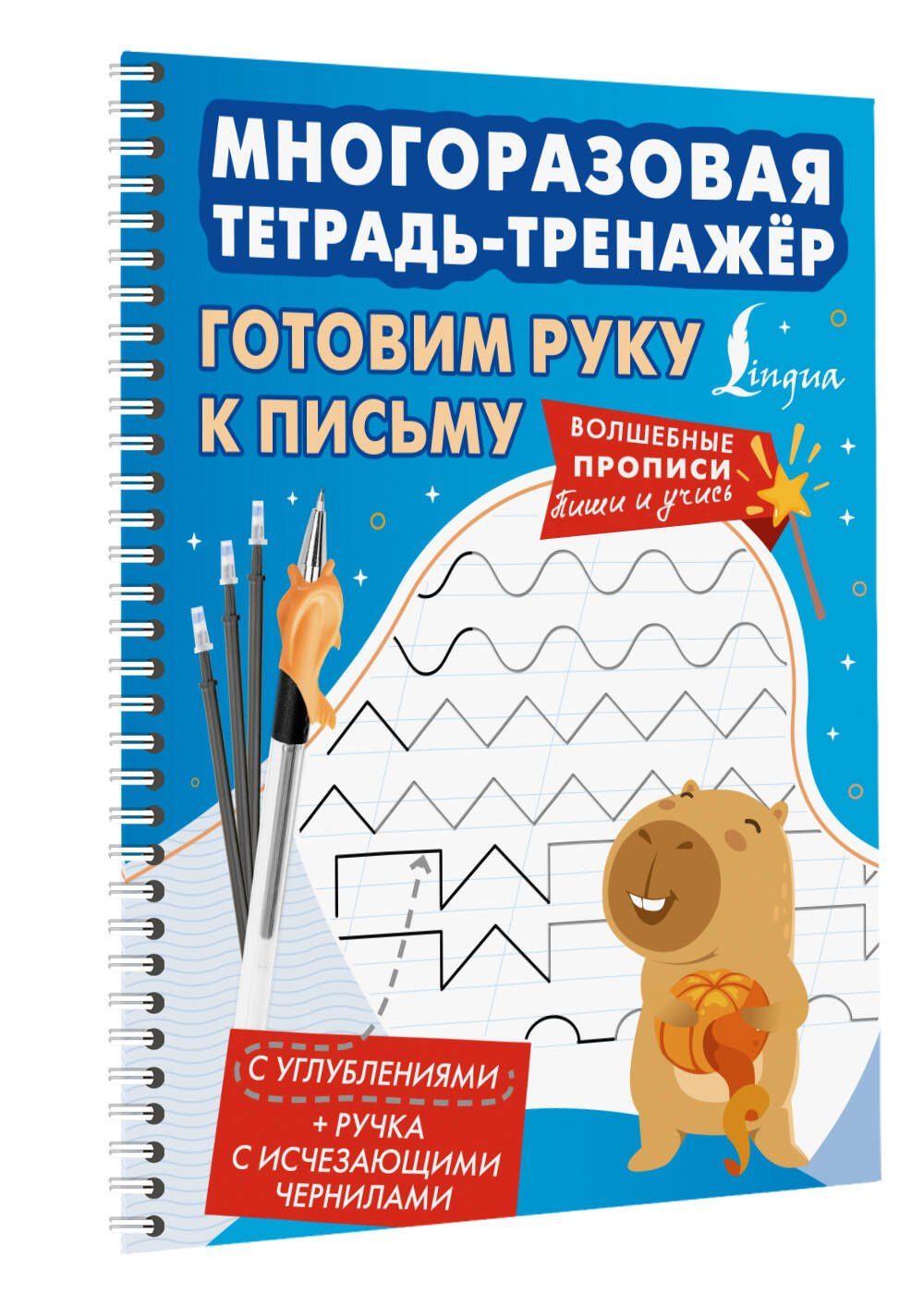 Готовим руку к письму. Многоразовая тетрадь-тренажёр