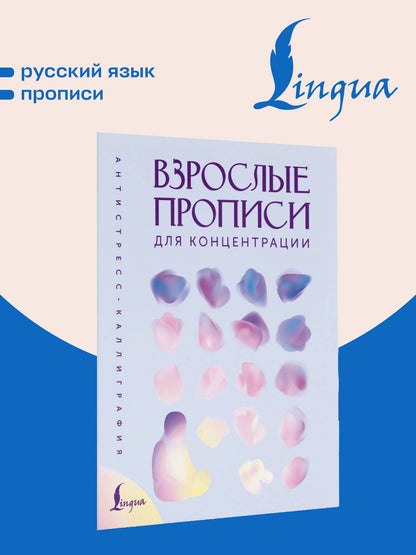 Взрослые прописи для концентрации