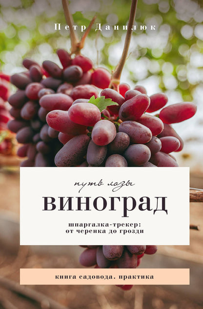Петр Данилюк: Виноград. Путь лозы. Шпаргалка-трекер: от черенка до грозди