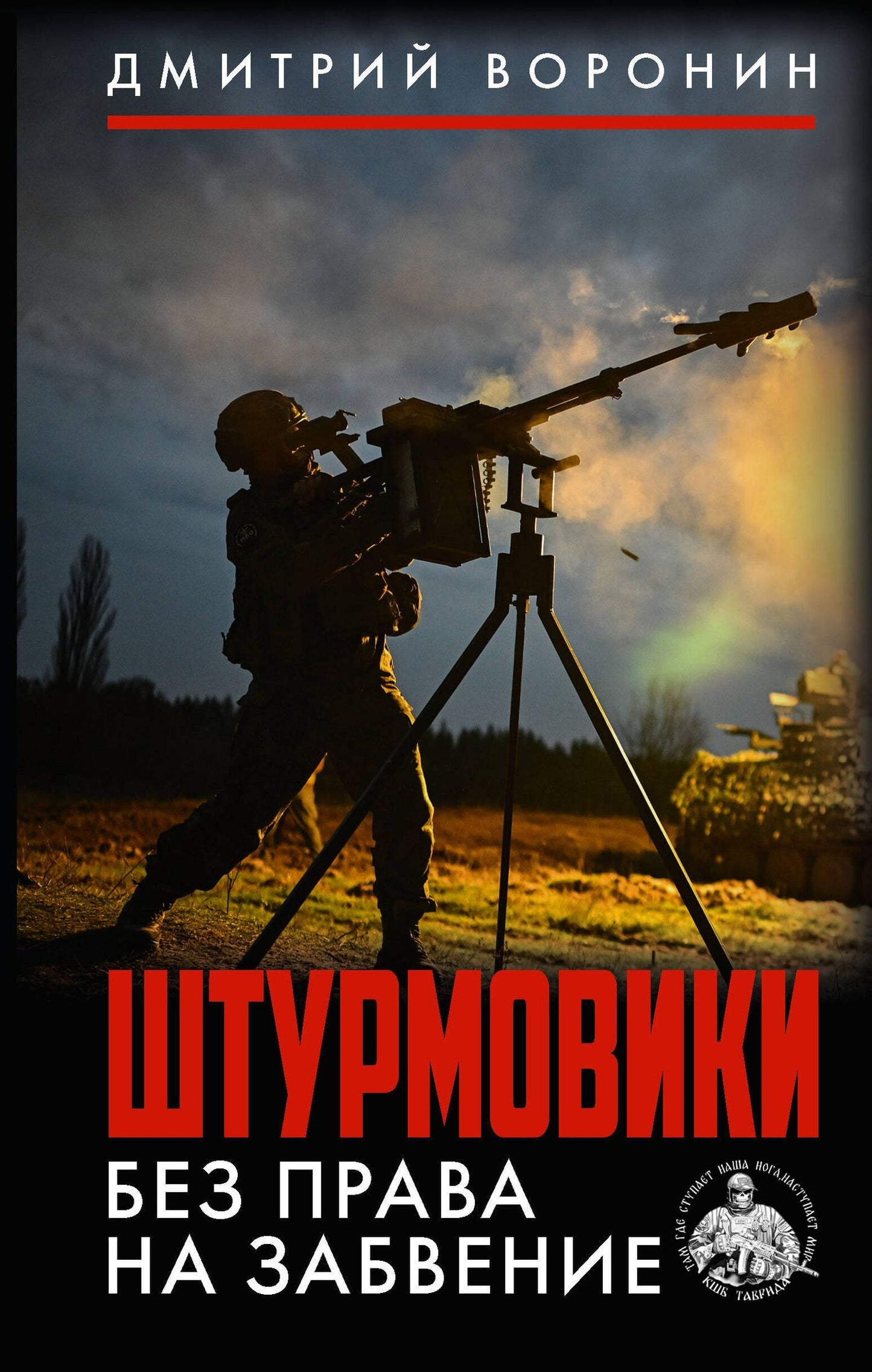 Дмитрий Воронин: Штурмовики. Без права на забвение
