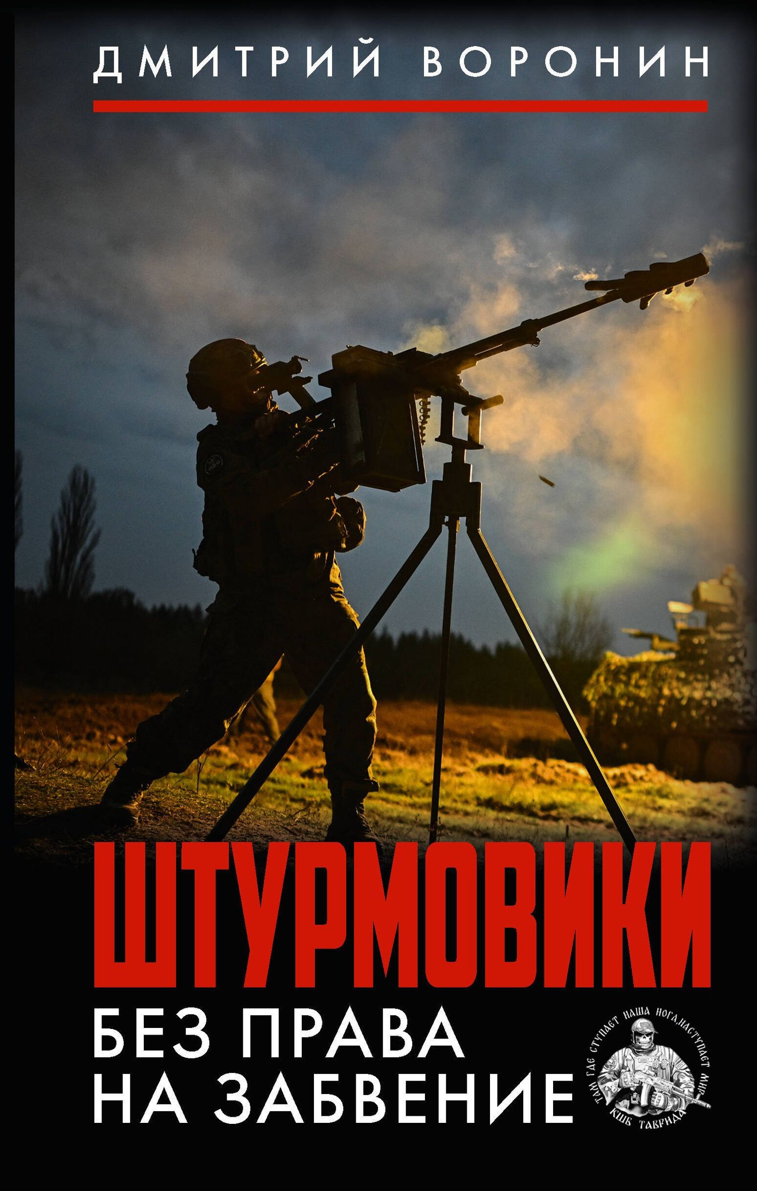 Дмитрий Воронин: Штурмовики. Без права на забвение