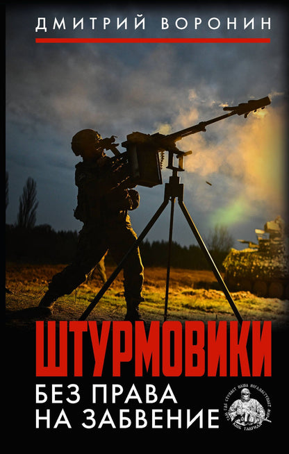 Дмитрий Воронин: Штурмовики. Без права на забвение