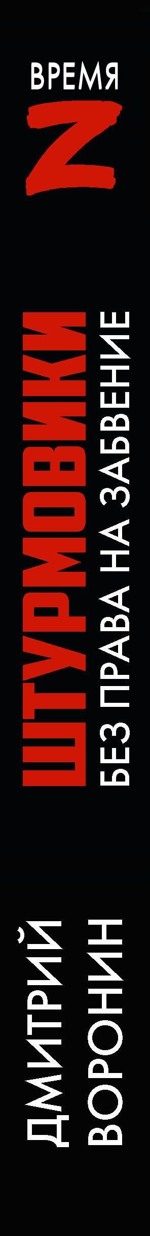 Дмитрий Воронин: Штурмовики. Без права на забвение