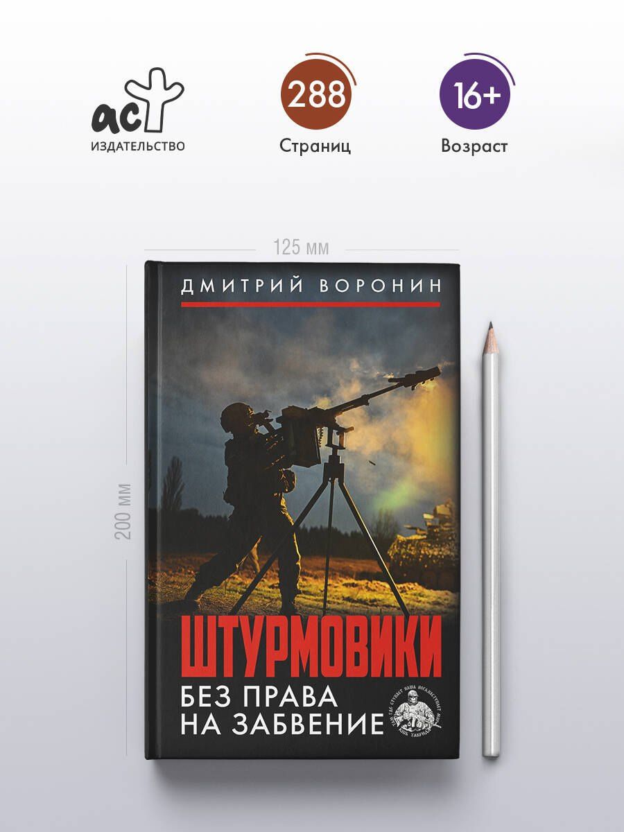 Дмитрий Воронин: Штурмовики. Без права на забвение