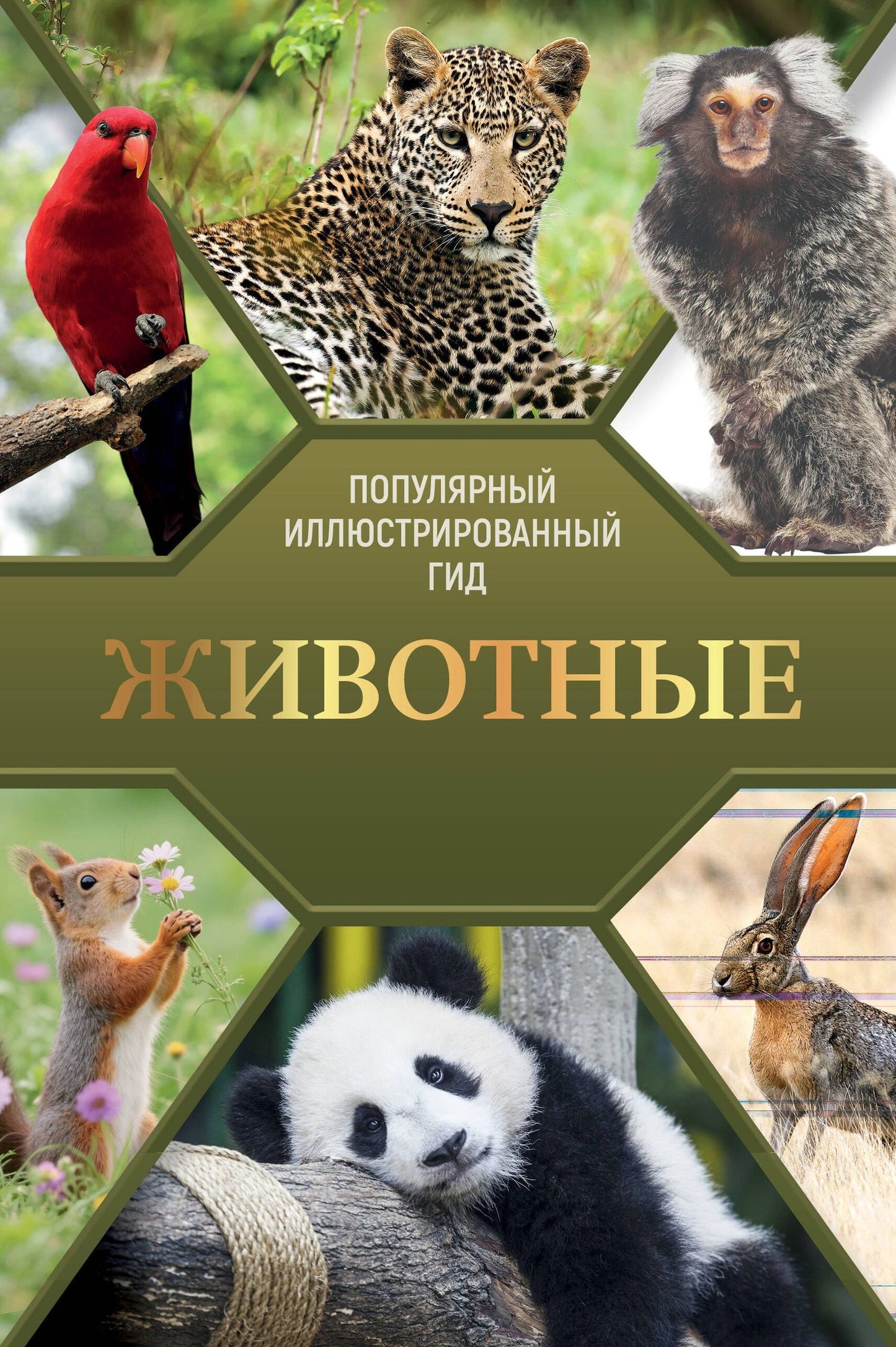 Животные. Популярный иллюстрированный гид