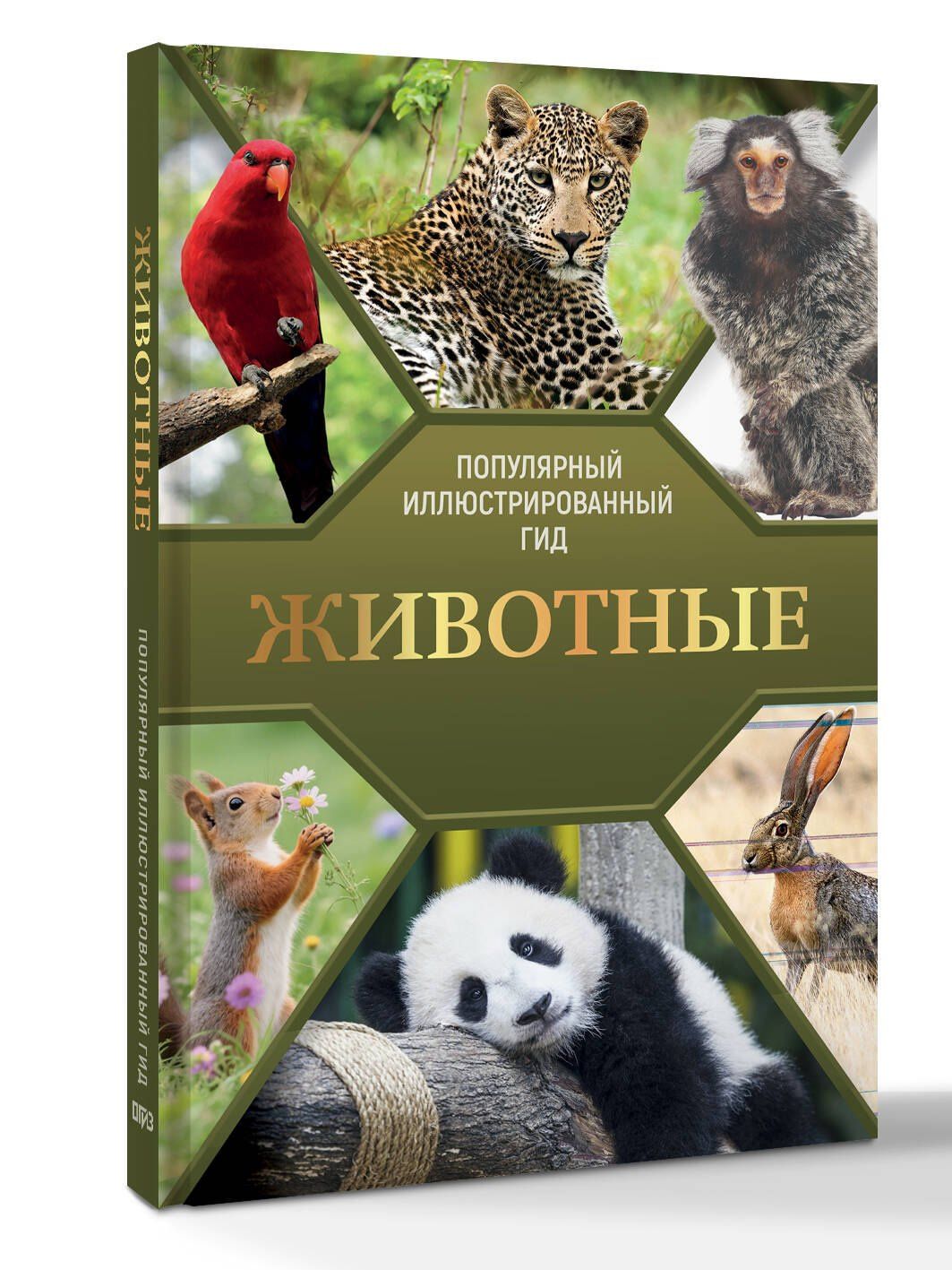 Животные. Популярный иллюстрированный гид