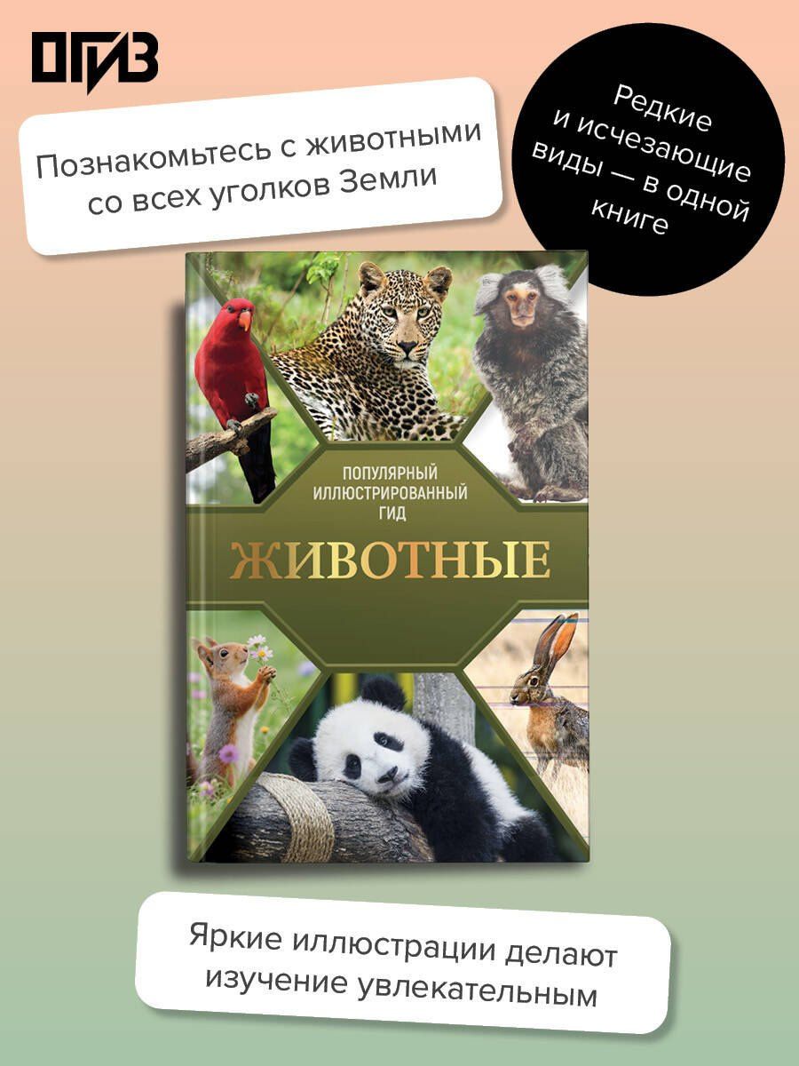 Животные. Популярный иллюстрированный гид