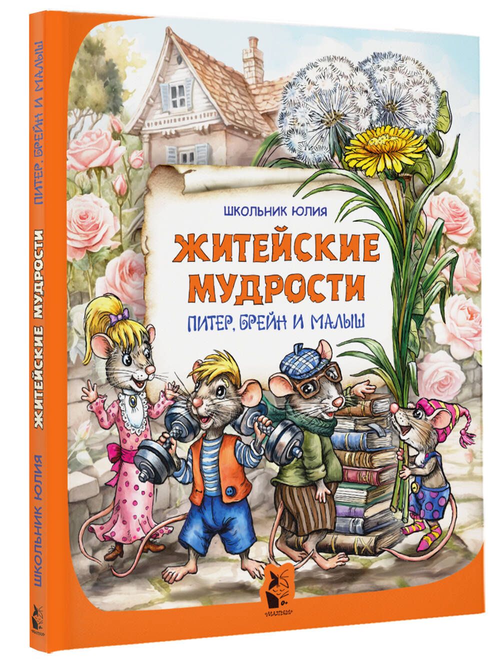 Юлия Школьник: Питер, Брейн и Малыш. Житейские мудрости