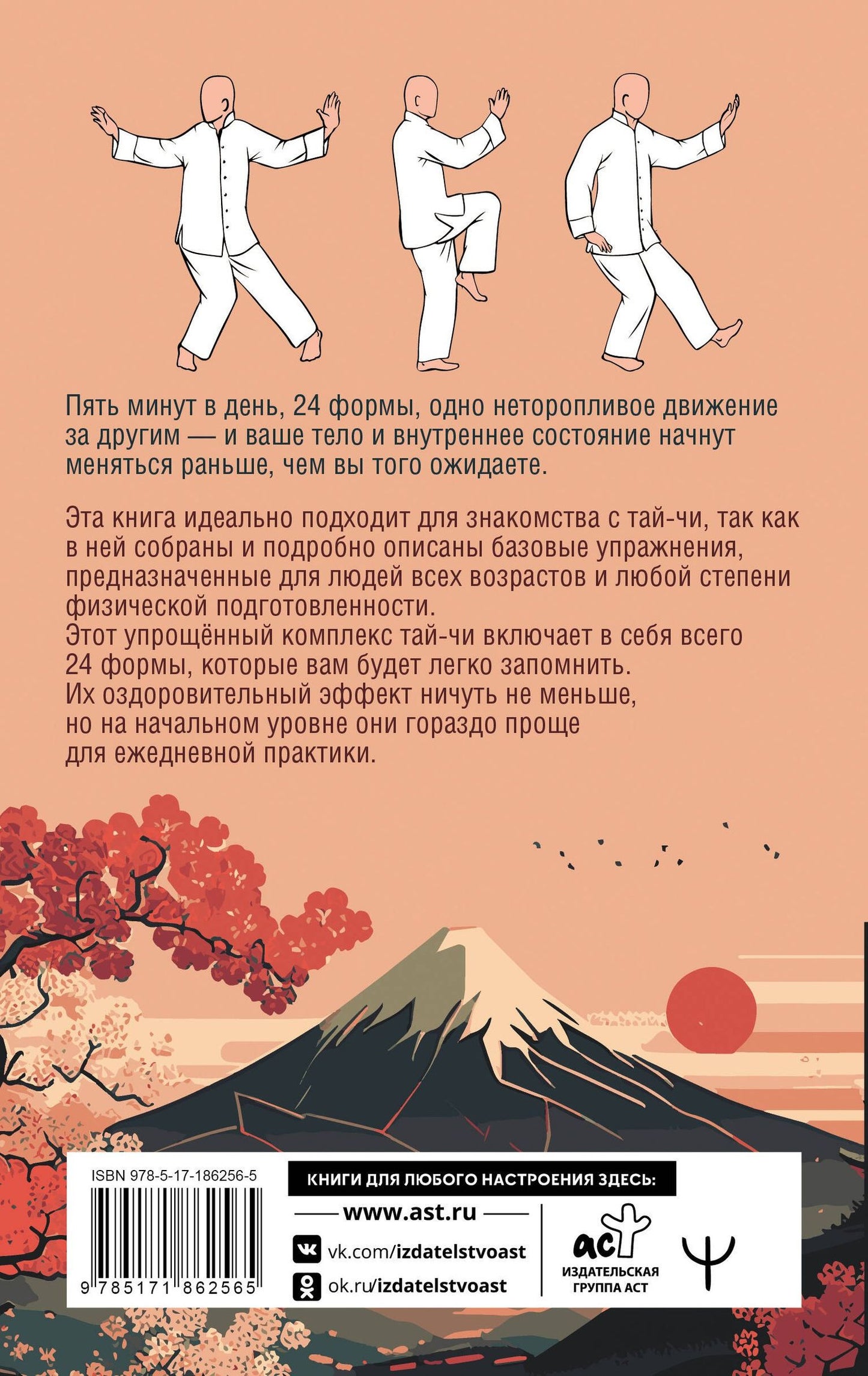Лао Минь: Тай-Чи. 24 техники тайзицюань. Базовый комплекс упражнений для физического и ментального здоровья