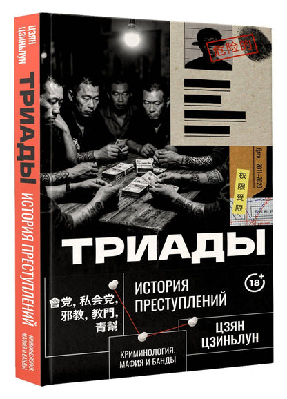 Цзян Цзиньлун: Триады. История преступлений