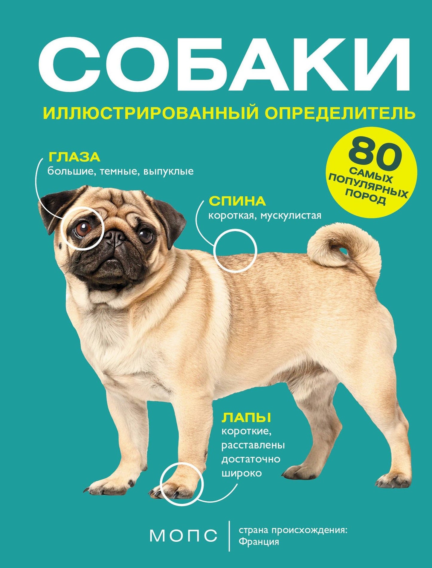 Ирина Барановская: Собаки. 80 самых популярных пород. Иллюстрированный определитель