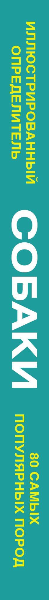 Ирина Барановская: Собаки. 80 самых популярных пород. Иллюстрированный определитель