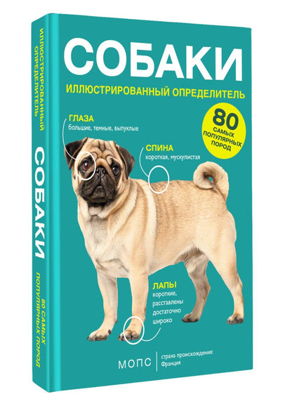 Ирина Барановская: Собаки. 80 самых популярных пород. Иллюстрированный определитель