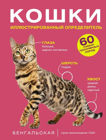 Дмитрий Смирнов: Кошки. 60 самых популярных пород. Иллюстрированный определитель