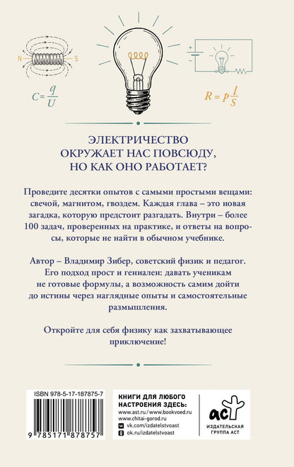 Владимир Зибер: Электрический вызов. Тренажер для ума
