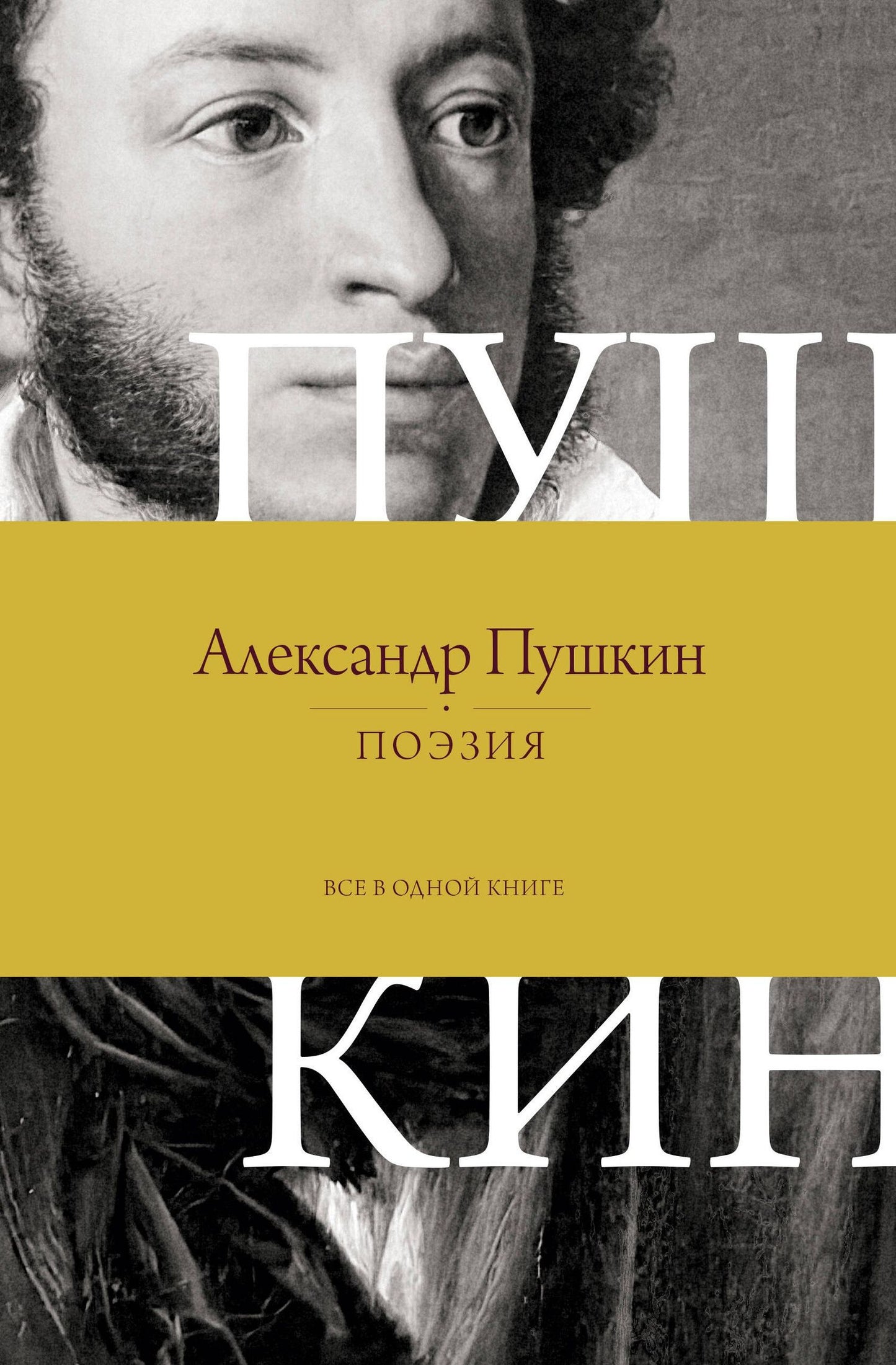 Александр Пушкин: Поэзия. Все в одной книге