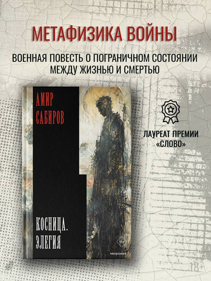 Амир Сабиров: Косница. Элегия