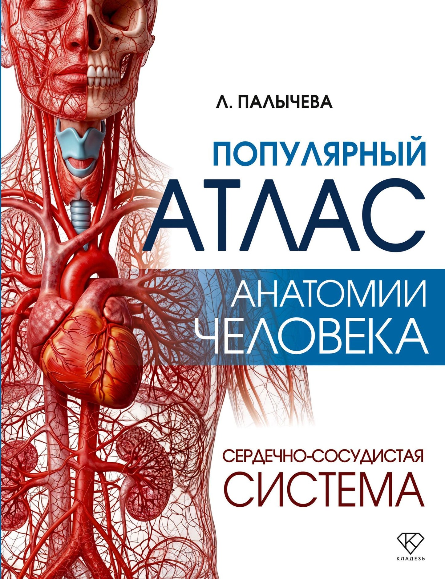 Любовь Палычева: Популярный атлас анатомии человека. Сердечно-сосудистая система