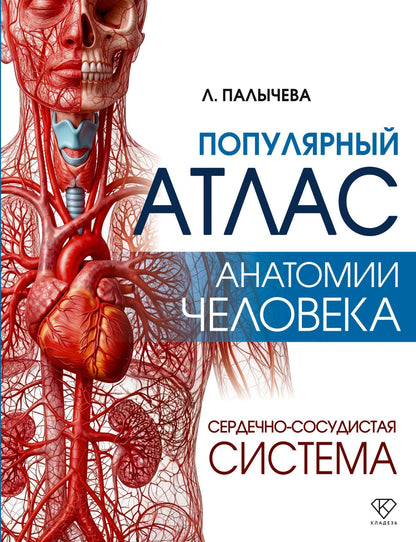 Любовь Палычева: Популярный атлас анатомии человека. Сердечно-сосудистая система