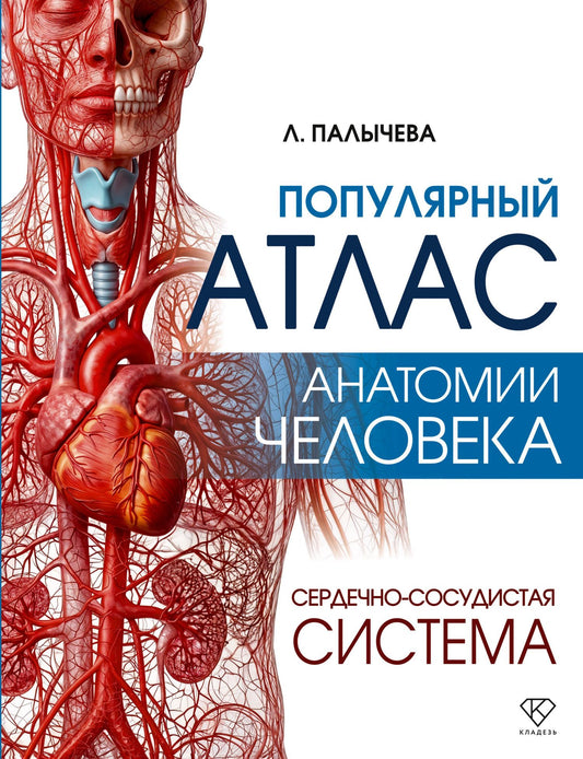Любовь Палычева: Популярный атлас анатомии человека. Сердечно-сосудистая система