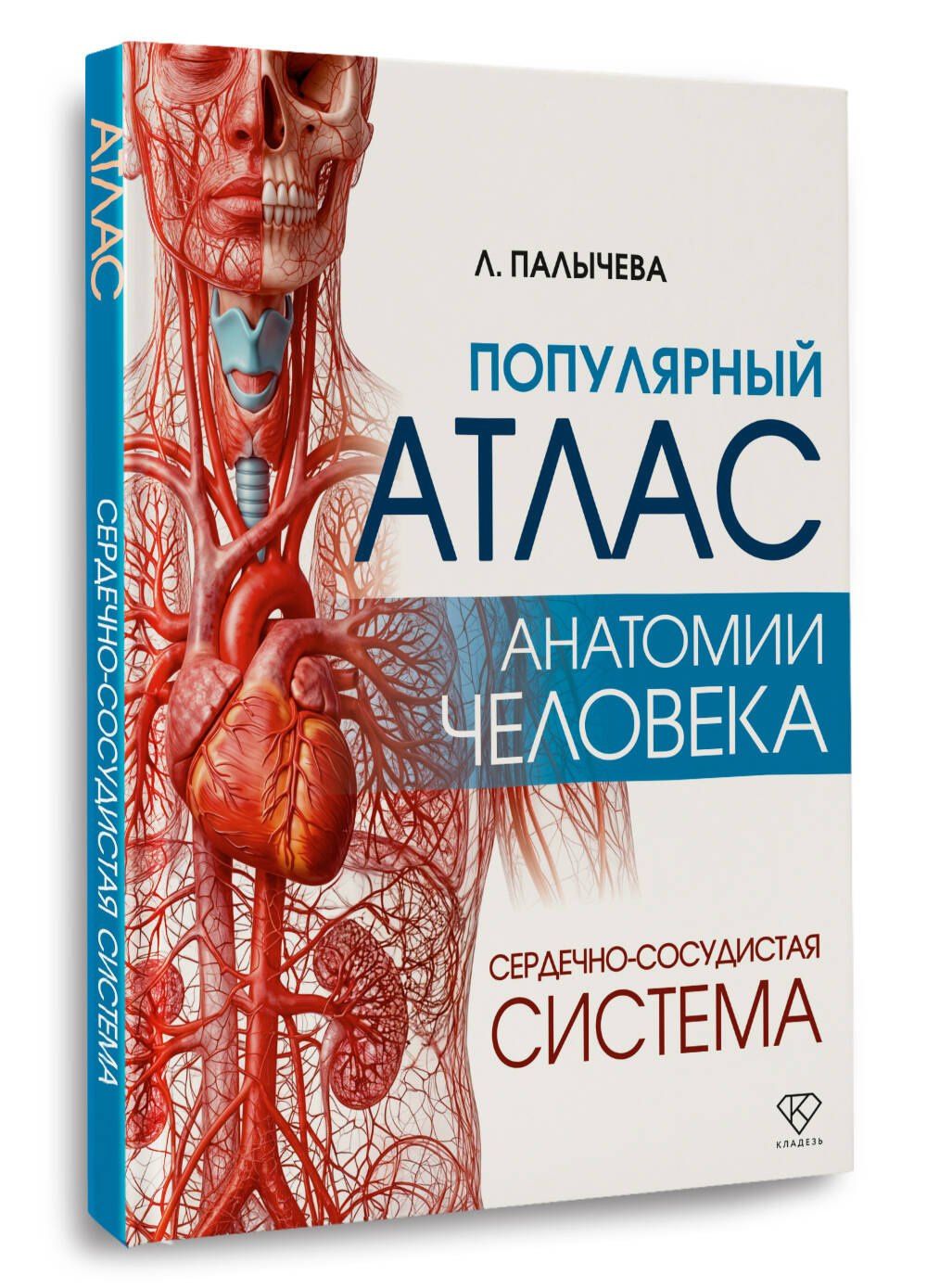 Любовь Палычева: Популярный атлас анатомии человека. Сердечно-сосудистая система