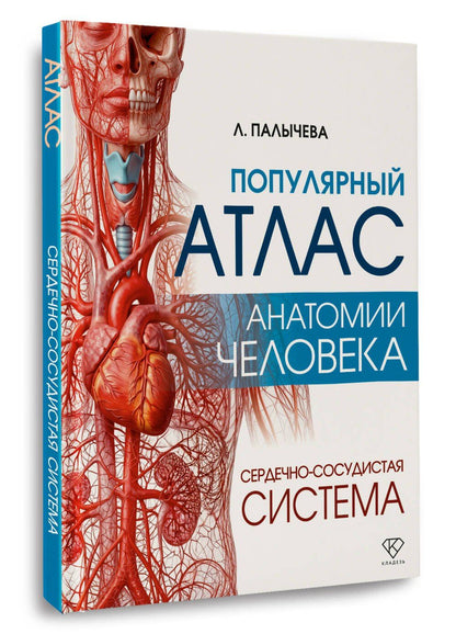 Любовь Палычева: Популярный атлас анатомии человека. Сердечно-сосудистая система