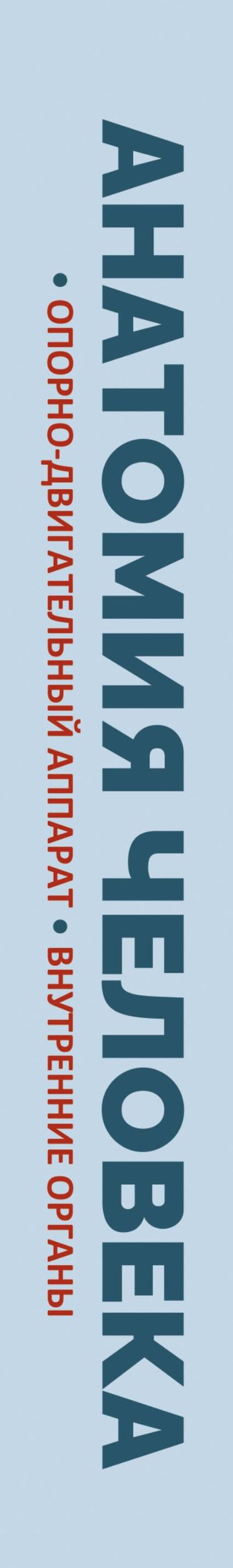 Рудольф Самусев: Анатомия человека. Опорно-двигательный аппарат, внутренние органы