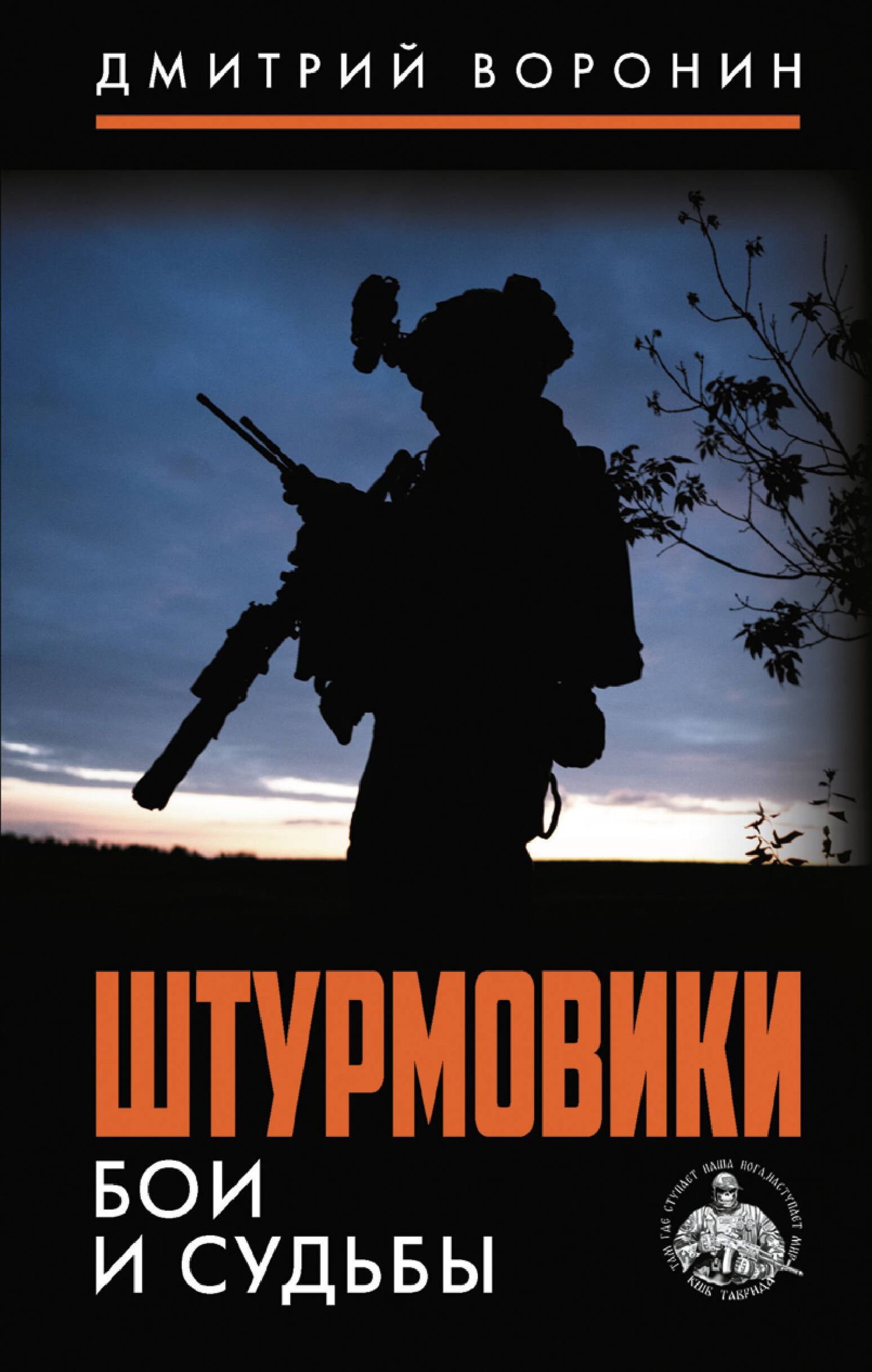 Дмитрий Воронин: Штурмовики. Бои и судьбы