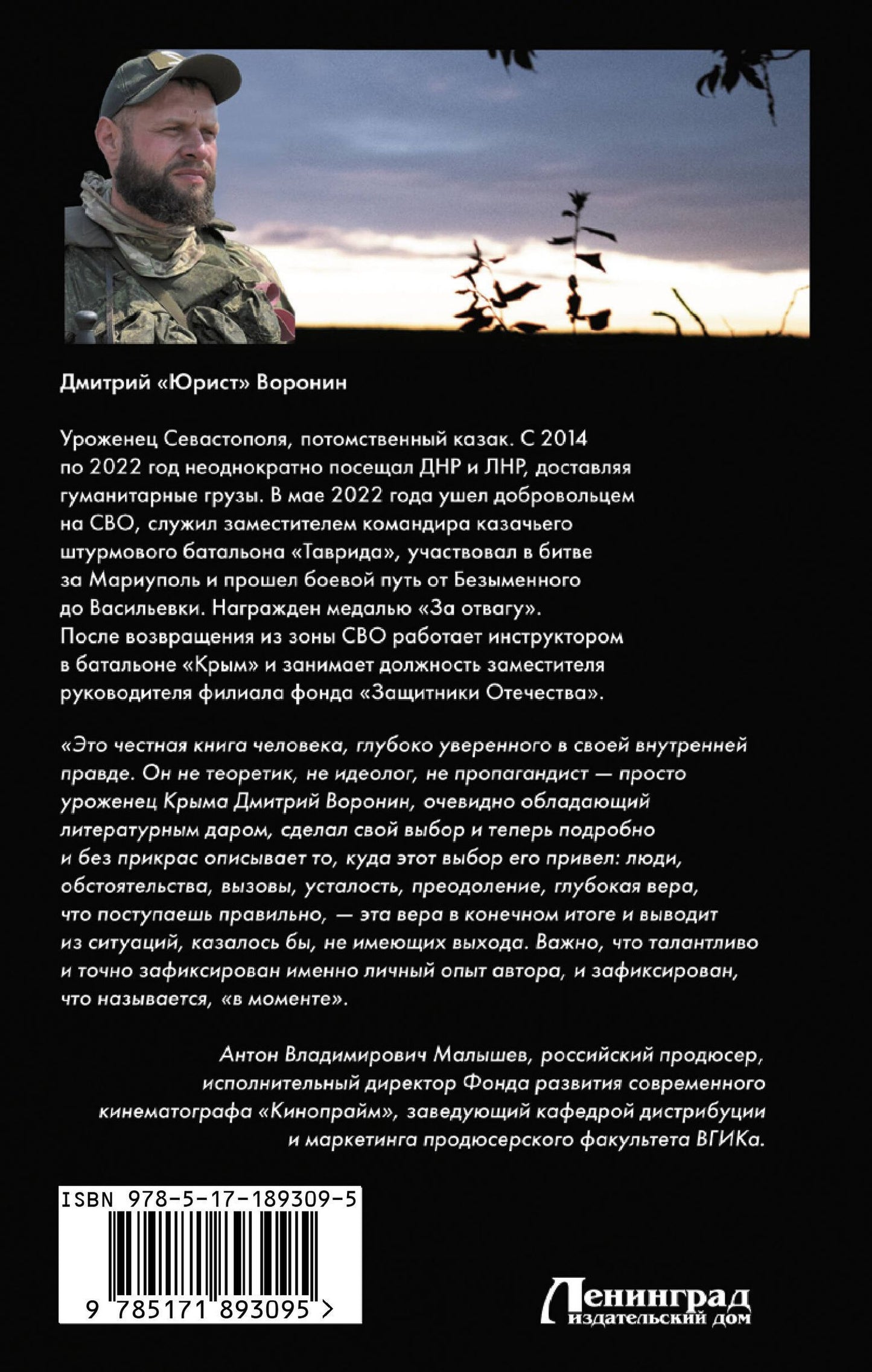 Дмитрий Воронин: Штурмовики. Бои и судьбы