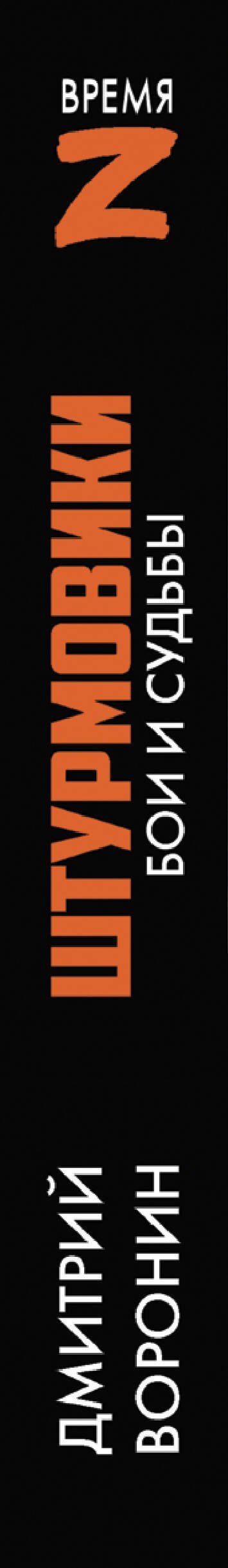 Дмитрий Воронин: Штурмовики. Бои и судьбы