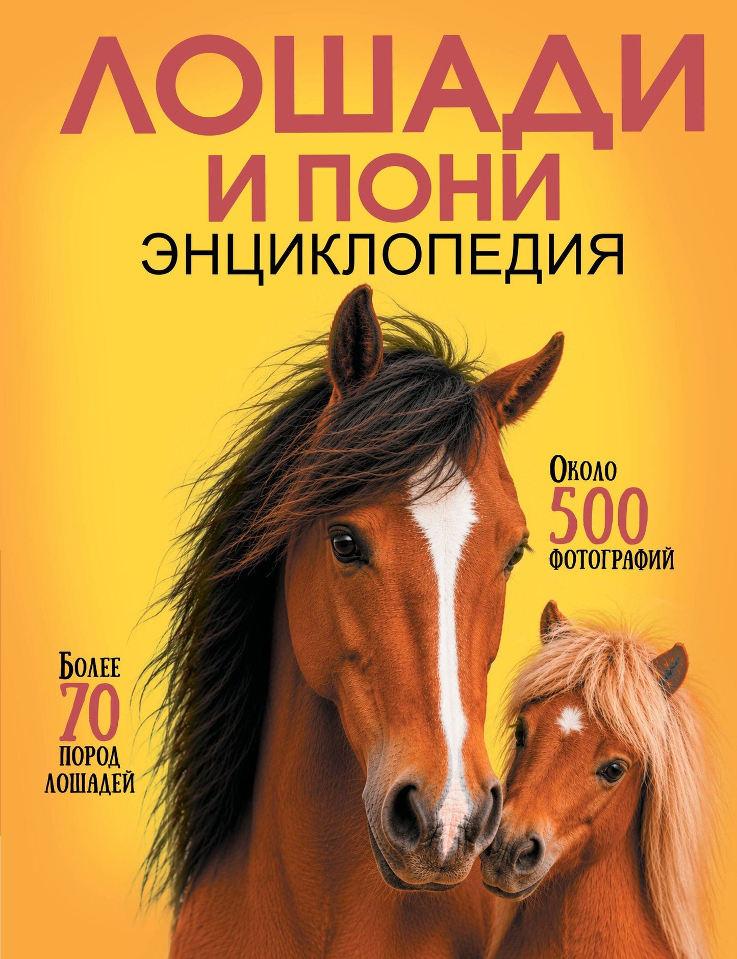Лошади и пони