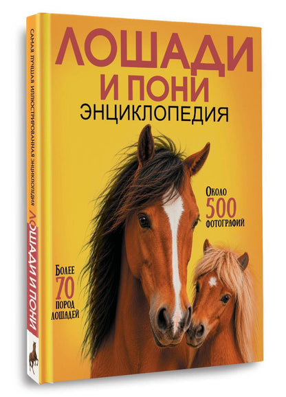 Лошади и пони