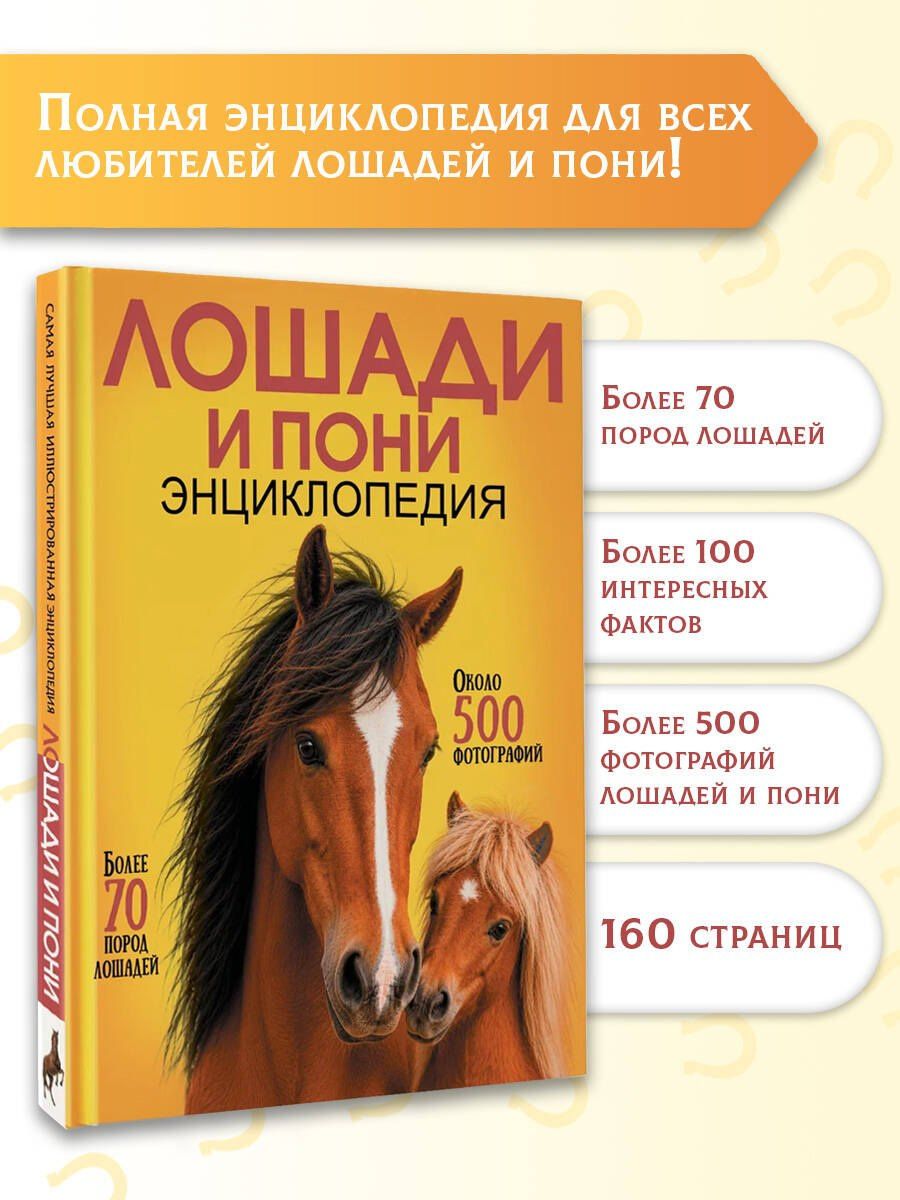 Лошади и пони