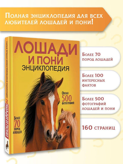 Лошади и пони