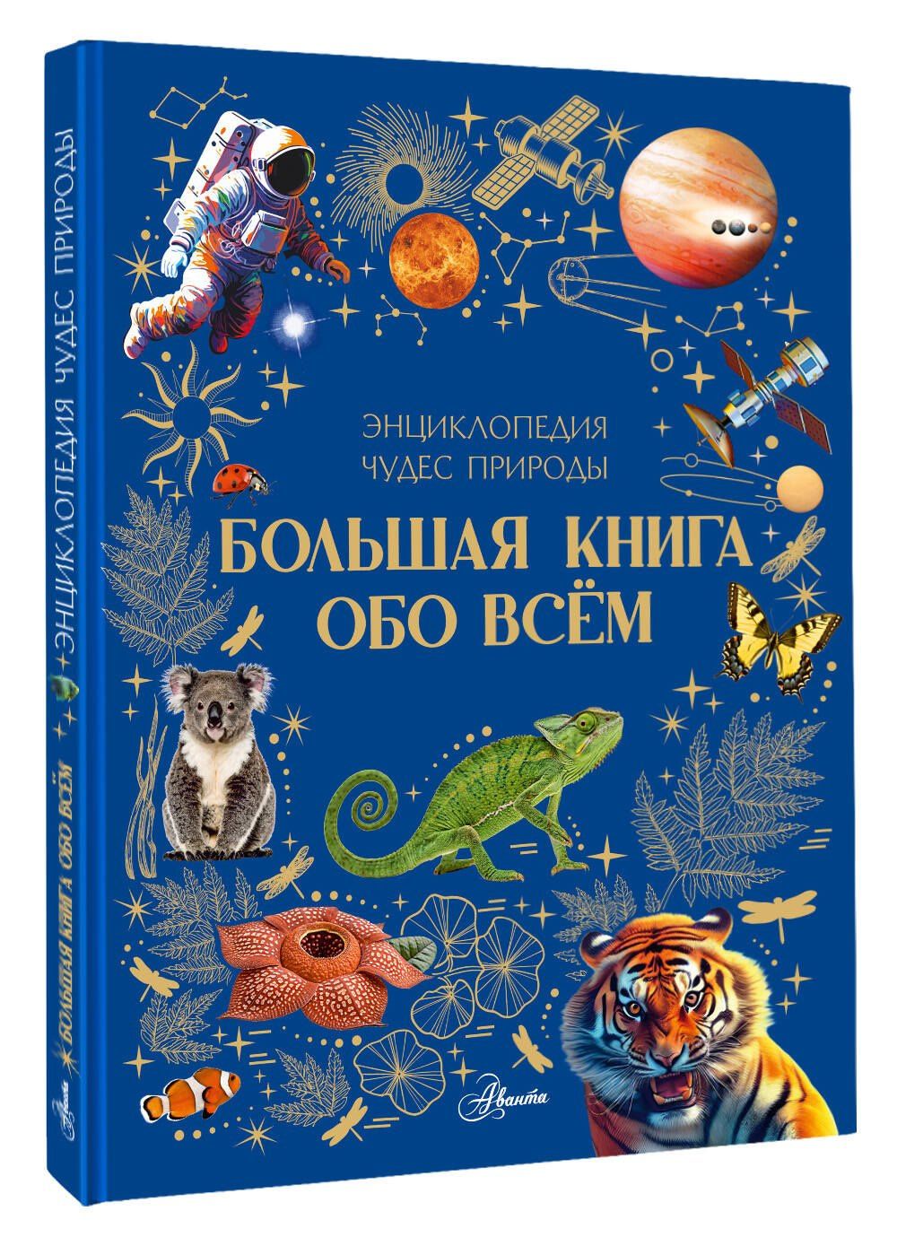 Большая книга обо всём