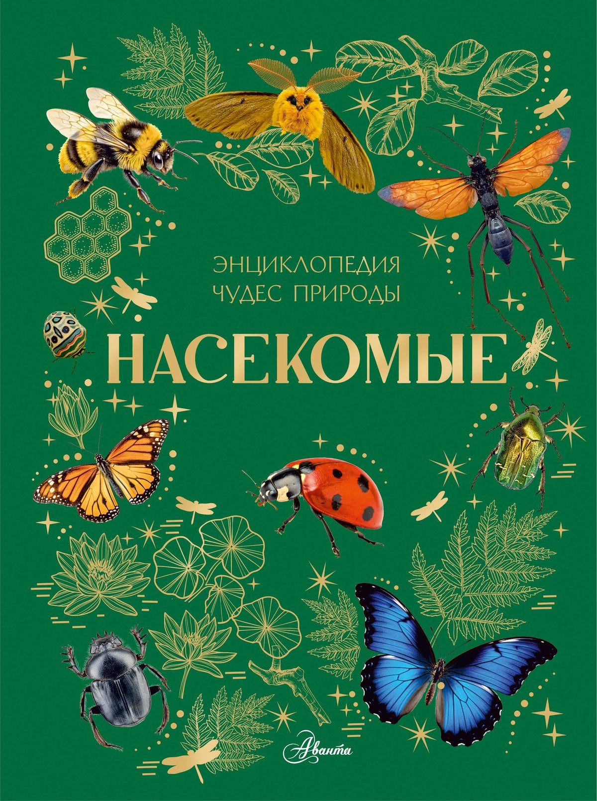 Насекомые