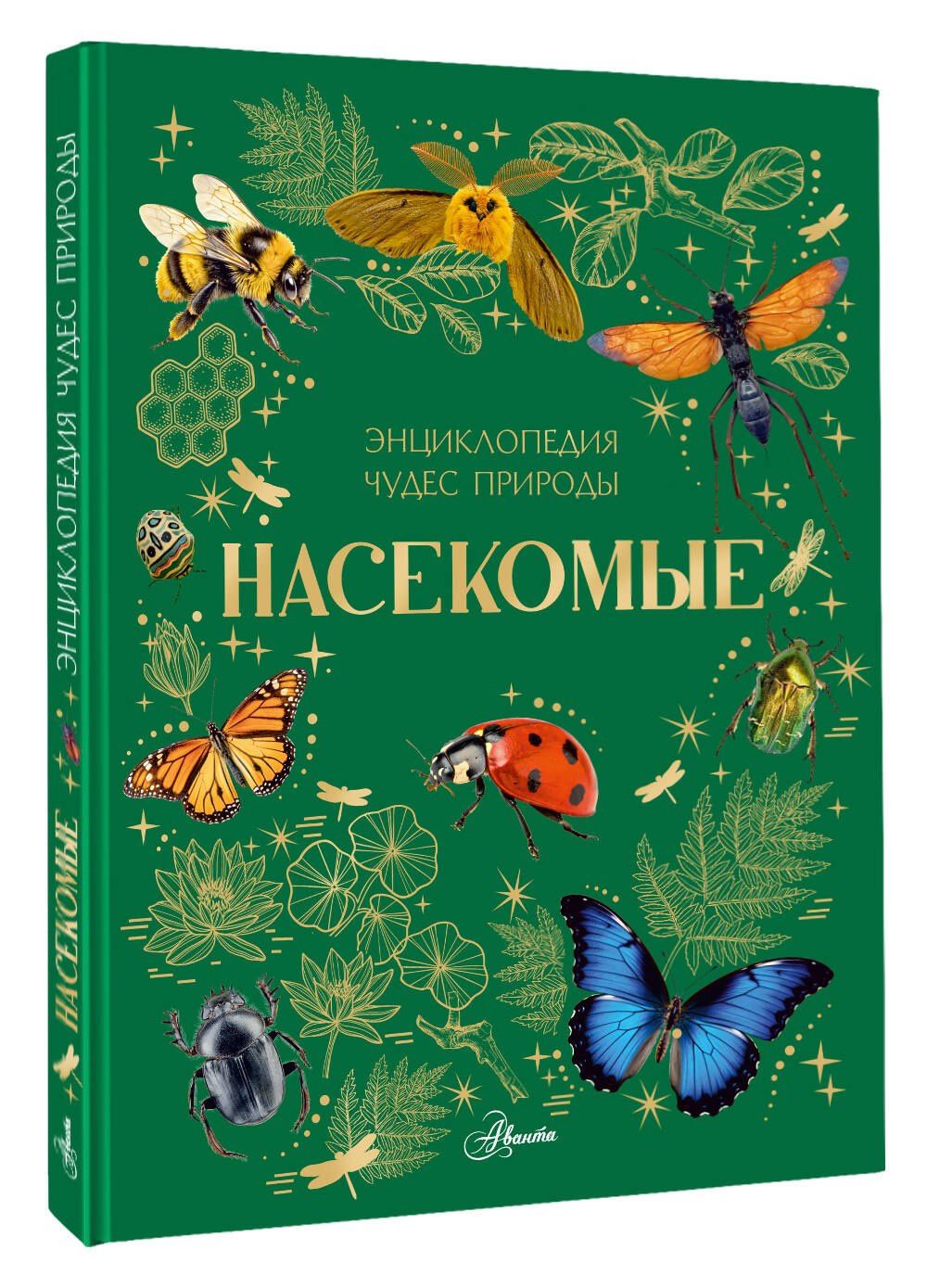 Насекомые